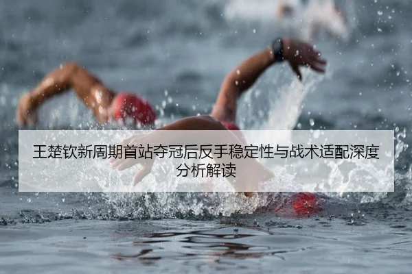 wang-chu-qin-xin-zhou-qi-shou-zhan-duo-guan-hou-fan-shou-wen-ding-xing-yu-zhan-shu-shi-pei-shen-du-fen-xi-jie-du-2-329.jpg