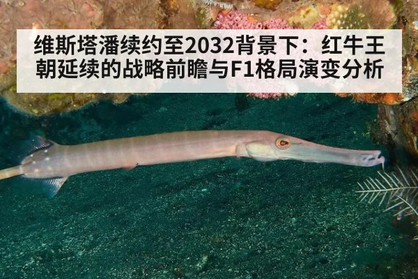 维斯塔潘续约至2032背景下:红牛王朝延续的战略前瞻与F1格局演变分析